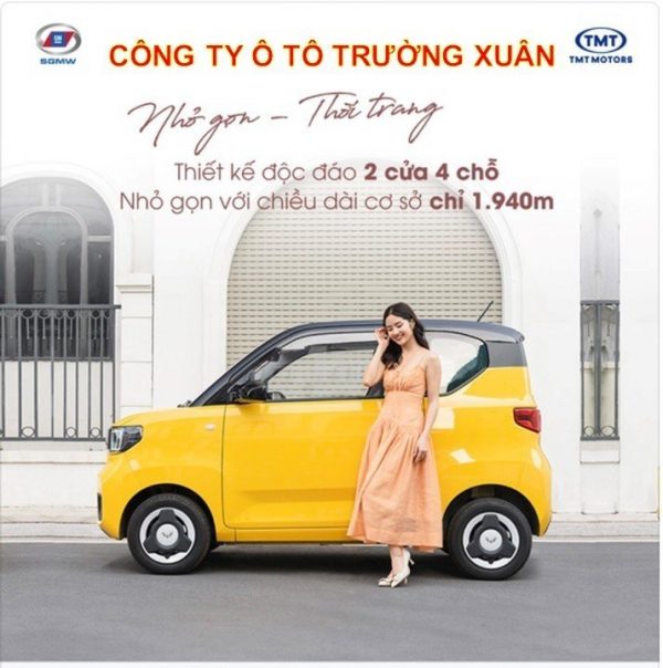XE ĐIỆN WULING HONGGUANG MINIEV - Hình ảnh 6