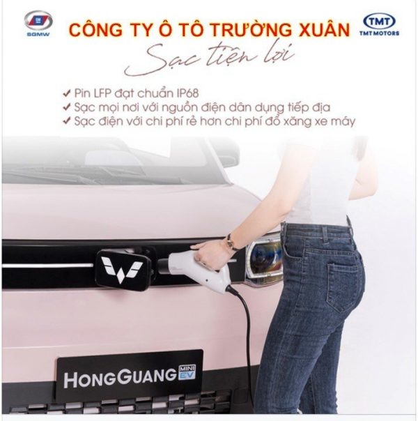 XE ĐIỆN WULING HONGGUANG MINIEV - Hình ảnh 3