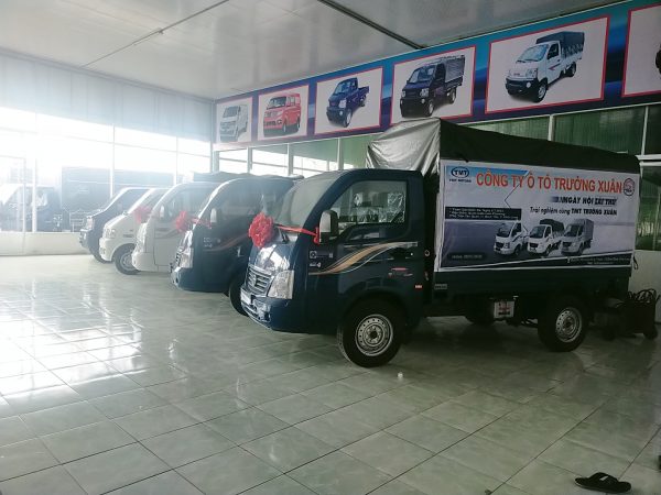 Ngày hội lái thử cùng TMT Trường Xuân - Hình ảnh 8