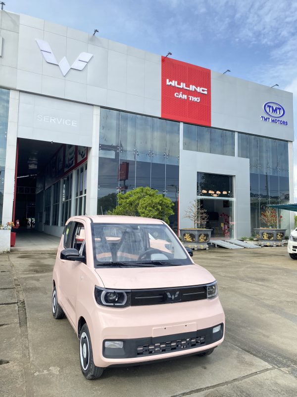 XE ĐIỆN CỦA LIÊN DOANH GM (MỸ)- HONGGUANG MINIEV đã về đến Trường Xuân