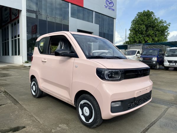XE ĐIỆN CỦA LIÊN DOANH GM (MỸ)- HONGGUANG MINIEV đã về đến Trường Xuân - Hình ảnh 7