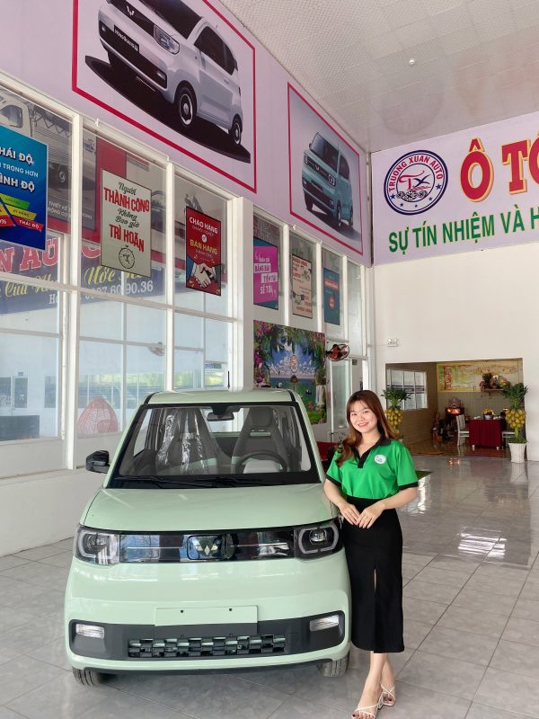 Wuling HongGuang MiniEV - Tiết kiệm hơn cả Xe máy phổ thông!