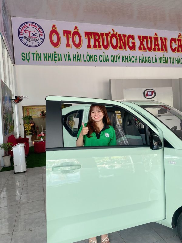 Wuling HongGuang MiniEV - Tiết kiệm hơn cả Xe máy phổ thông! - Hình ảnh 3