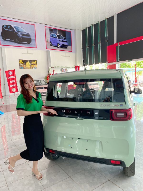 Wuling HongGuang MiniEV - Tiết kiệm hơn cả Xe máy phổ thông! - Hình ảnh 5