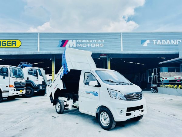 TERA100S BEN TẢI TRỌNG 990KG
