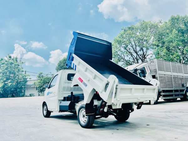 TERA100S BEN TẢI TRỌNG 990KG - Hình ảnh 4